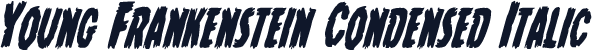 Young Frankenstein Condensed Italic