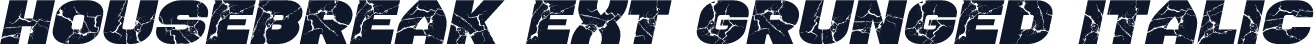 Housebreak Ext Grunged Italic