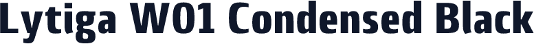 Lytiga W01 Condensed Black