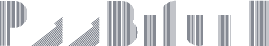 P22BifurF
