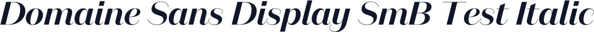 Domaine Sans Display SmB Test Italic