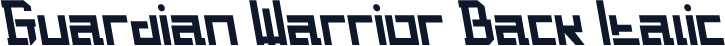 Guardian Warrior Back Italic