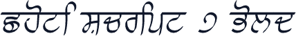 Choti Script 7 Bold