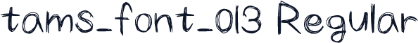 tams_font_013 Regular