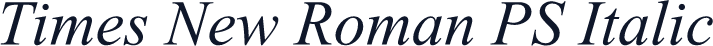 Times New Roman PS Italic