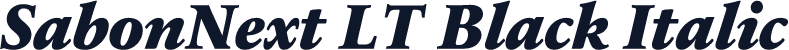 SabonNext LT Black Italic