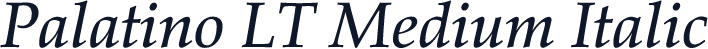 Palatino LT Medium Italic