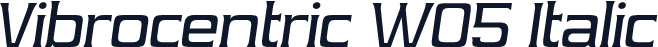 Vibrocentric W05 Italic