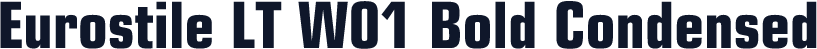 Eurostile LT W01 Bold Condensed