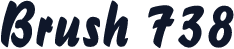Brush 738
