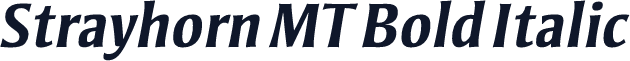 Strayhorn MT Bold Italic