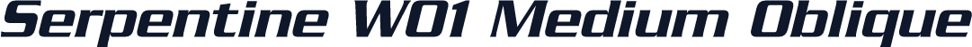 Serpentine W01 Medium Oblique