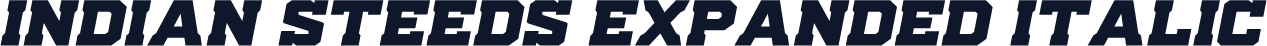 Indian Steeds Expanded Italic
