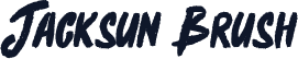 Jacksun Brush