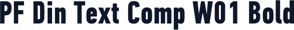 PF Din Text Comp W01 Bold