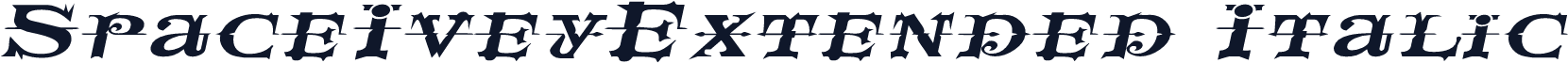 SpaceIveyExtended Italic