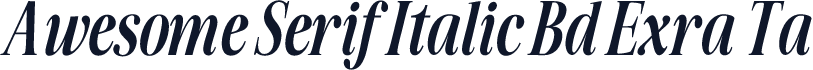Awesome Serif Italic Bd Exra Ta