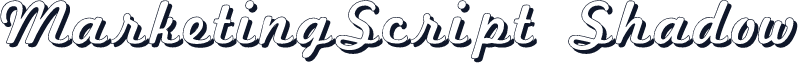 MarketingScript Shadow