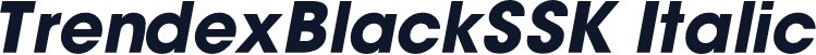 TrendexBlackSSK Italic