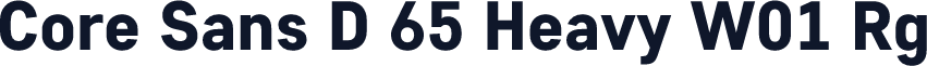 Core Sans D 65 Heavy W01 Rg