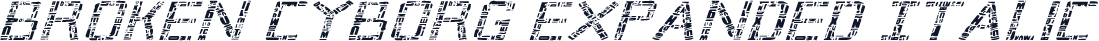 Broken Cyborg Expanded Italic