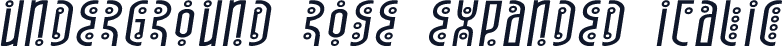 Underground Rose Expanded Italic