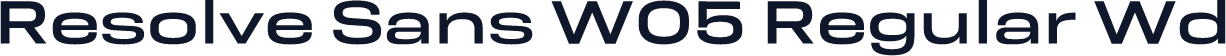 Resolve Sans W05 Regular Wd