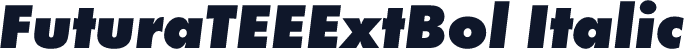 FuturaTEEExtBol Italic