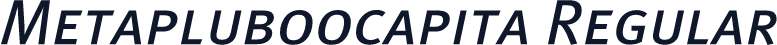Metapluboocapita Regular