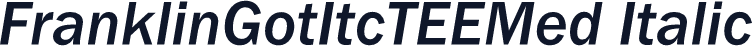 FranklinGotItcTEEMed Italic