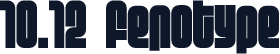 10.12 fenotype