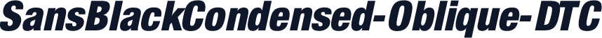 SansBlackCondensed-Oblique-DTC