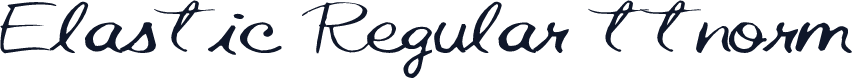 Elastic Regular ttnorm