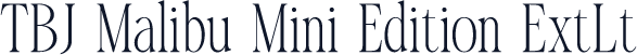 TBJ Malibu Mini Edition ExtLt