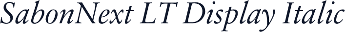 SabonNext LT Display Italic
