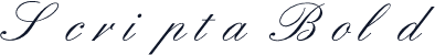 Scripta Bold