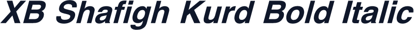 XB Shafigh Kurd Bold Italic