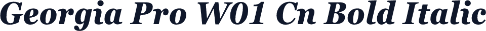 Georgia Pro W01 Cn Bold Italic
