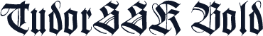 TudorSSK Bold