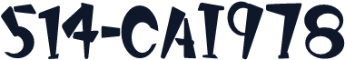 514-CAI978