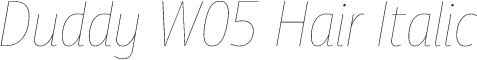 Duddy W05 Hair Italic
