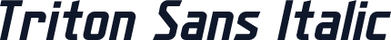 Triton Sans Italic