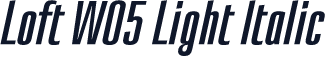 Loft W05 Light Italic
