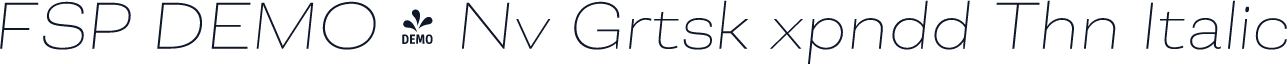 FSP DEMO - Nv Grtsk xpndd Thn Italic