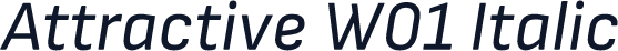 Attractive W01 Italic