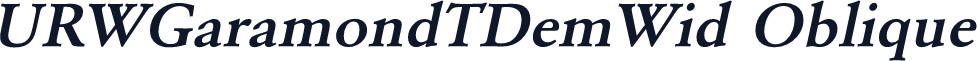 URWGaramondTDemWid Oblique