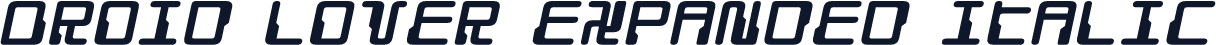 Droid Lover Expanded Italic