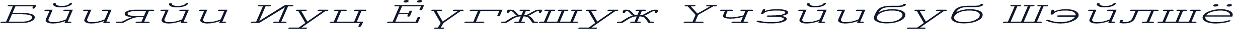 Danzan New Courier Expanded Italic