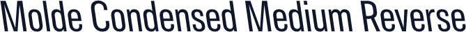 Molde Condensed Medium Reverse