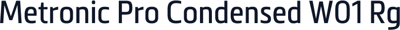 Metronic Pro Condensed W01 Rg